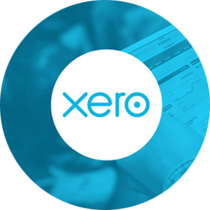 Xero API developer